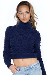 Turtleneck Cropped Sweater