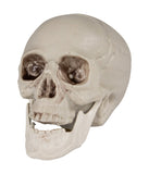 Skeleton Skull Heads Halloween Decorations Set of 6