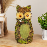 Forest Tree Owl Spring Figure - 11" - Brown and Green