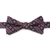 Mardi Gras Stripe Bow Tie