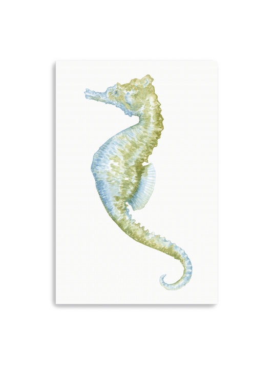 Watercolor Seahorse II Canvas Art Print