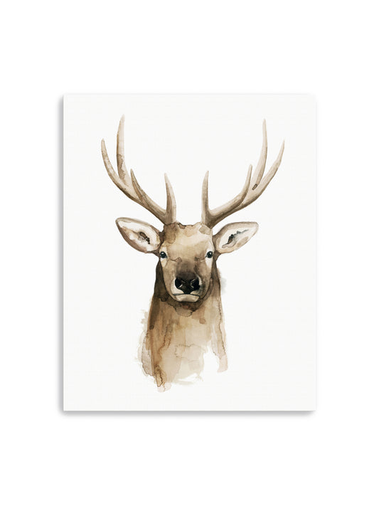 Watercolor Elk Portrait II Canvas Art Print