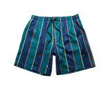 Green Retro Stripe Swim Shorts