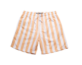 Vertical Stripe Swim Shorts