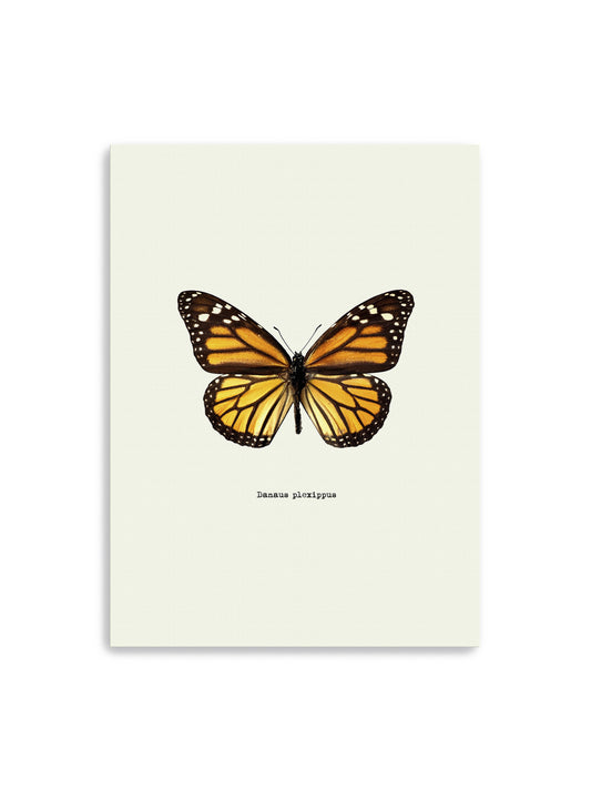 Yellow Butterfly Canvas Art Print
