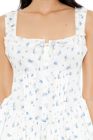 Floral Print A-Line Mini Dress