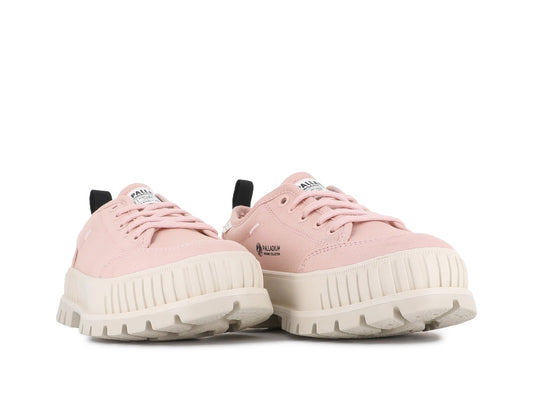 PALLASHOCK LO ORGANIC 2