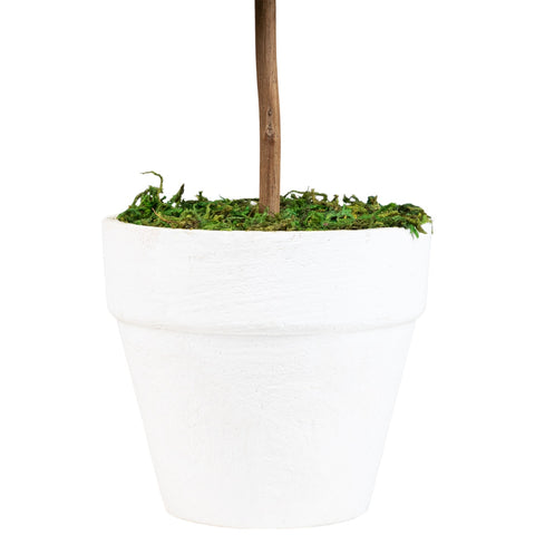 21" Green and White Reindeer Moss Potted Artificial Spring Floral Topiary Tree