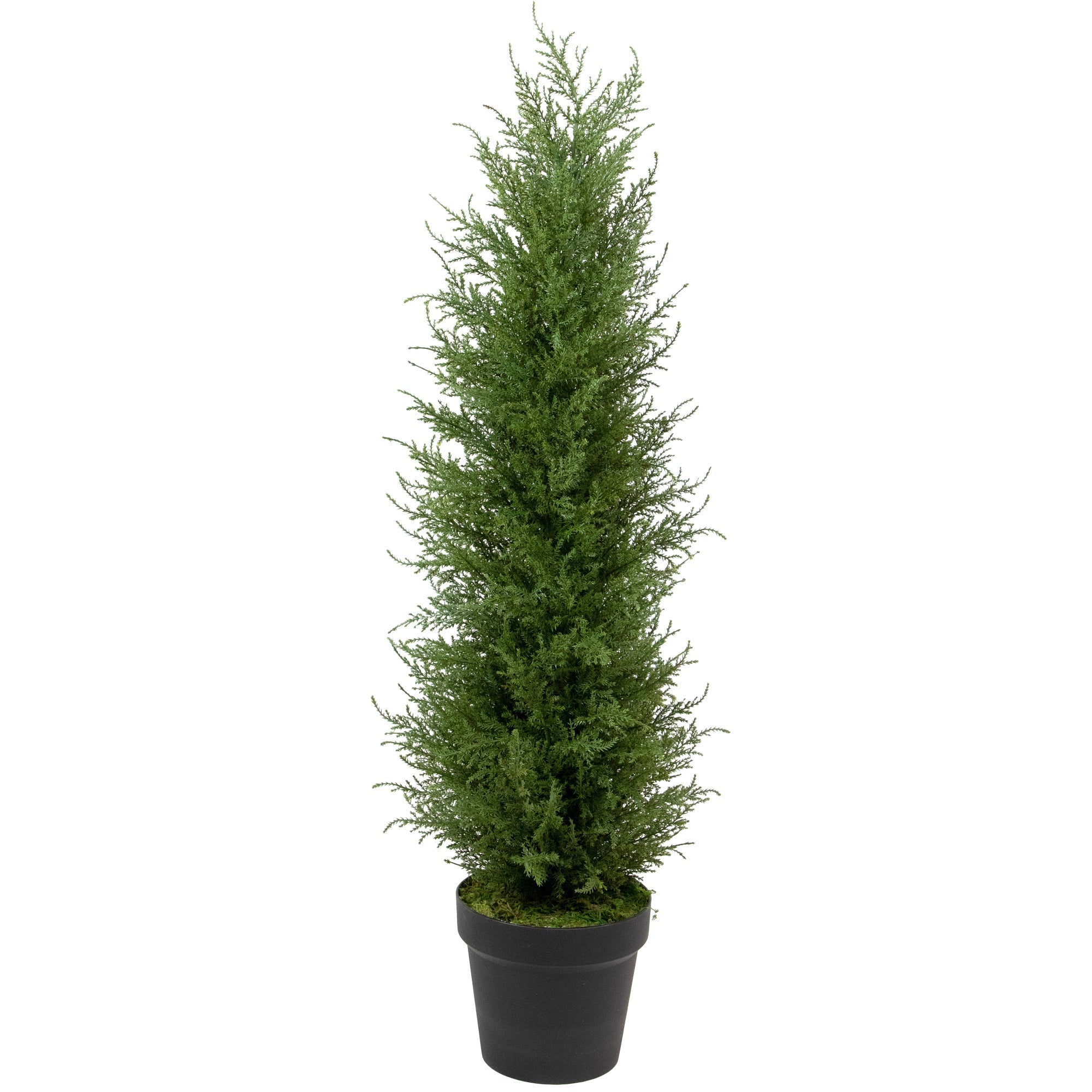  3' Artificial Cedar Pine Petite Arborvitae Tree in Round Pot Unlit - Green - Bonton