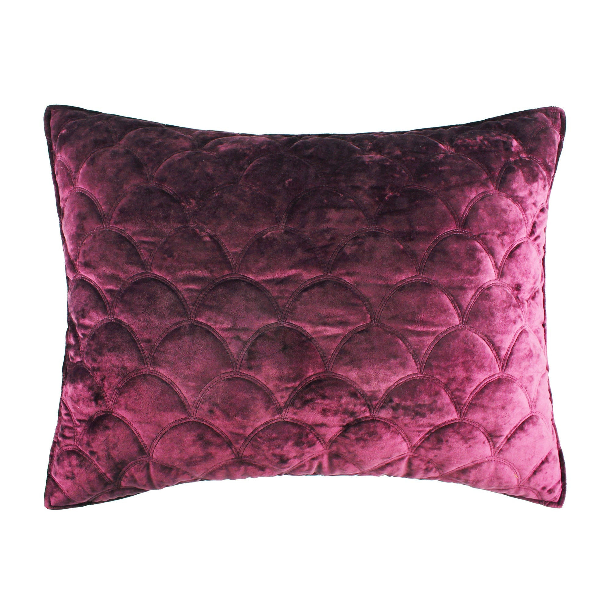  Birch Hill By Levtex Ellora Plum Velvet Sham - Plum - Bonton