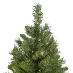 Pre-Lit Full Chatham Pine Artificial Christmas Tree - 6.5' - Clear Lights