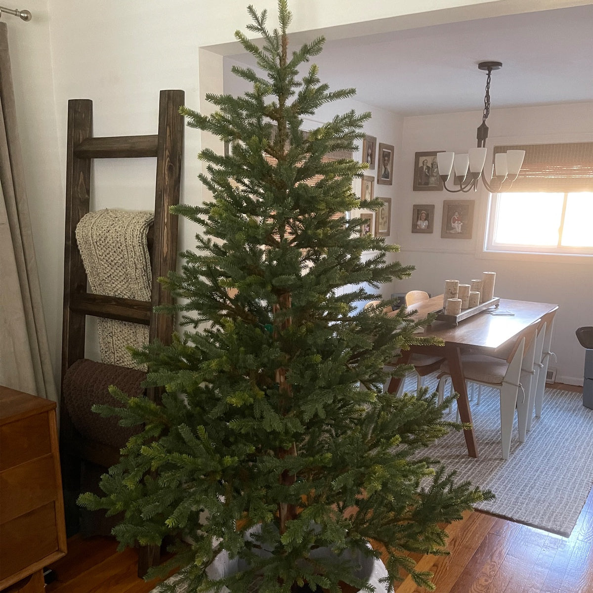  Northlight Real Touch™? Full Northern Pine Artificial Christmas Tree - 6.5' - Unlit - Default Title - Bonton