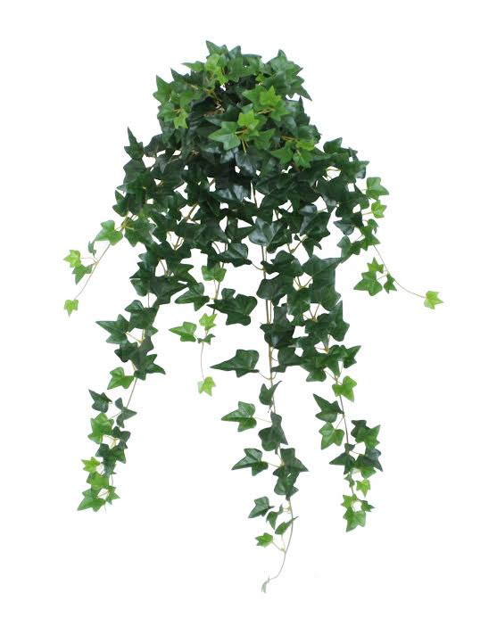  Garden Ivy Floral Hanging Bush, 23.75