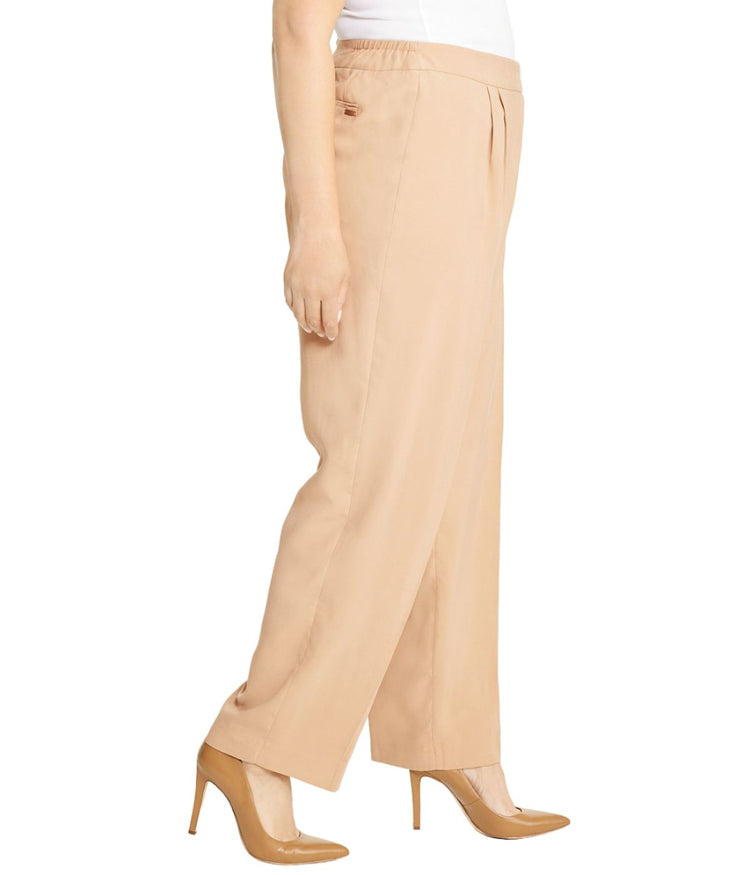 High Rise Fly Front Pleated Pants