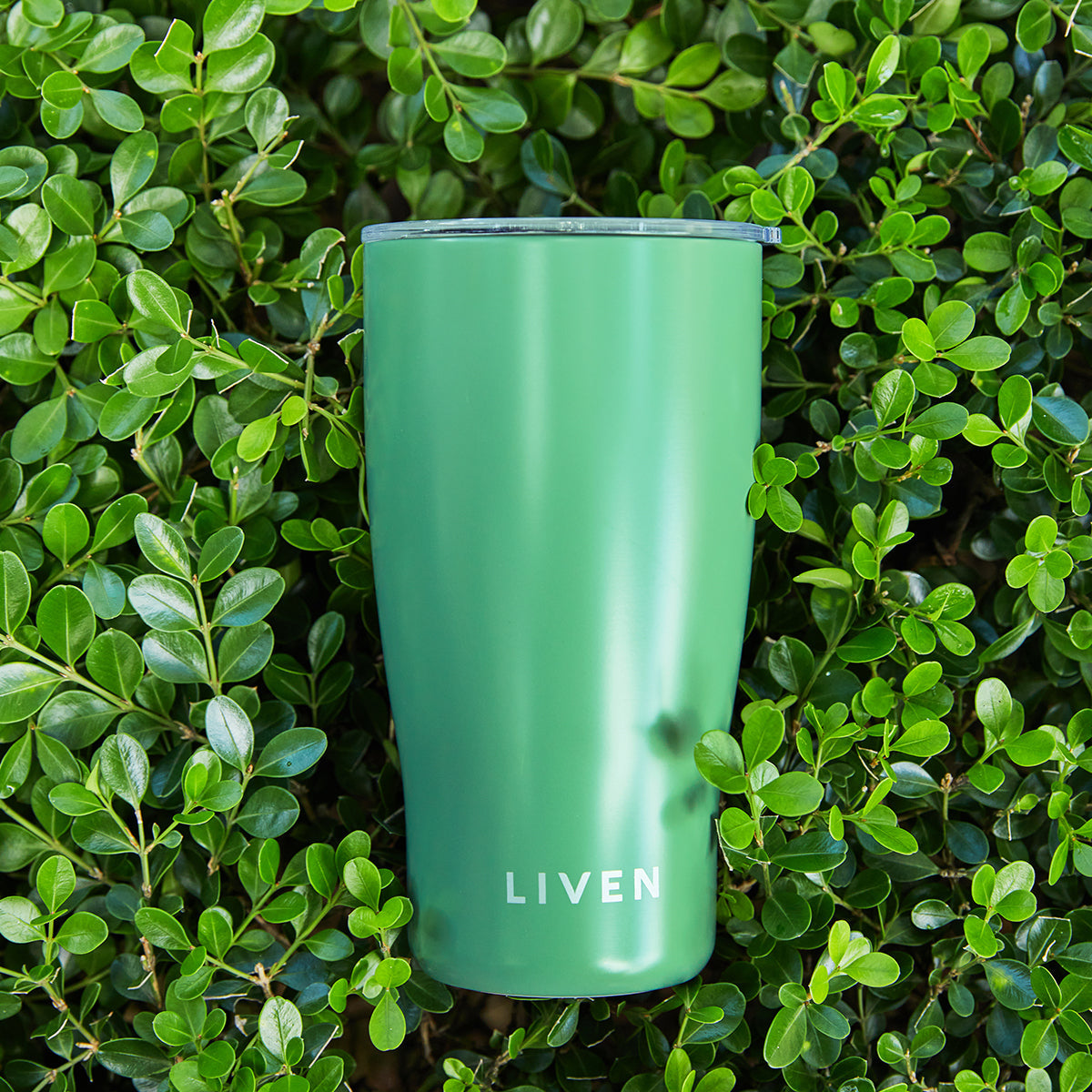  Acera Liven Glow™ Ceramic-Coated Stainless Steel Tumbler 19 Oz - Basil Green - Bonton