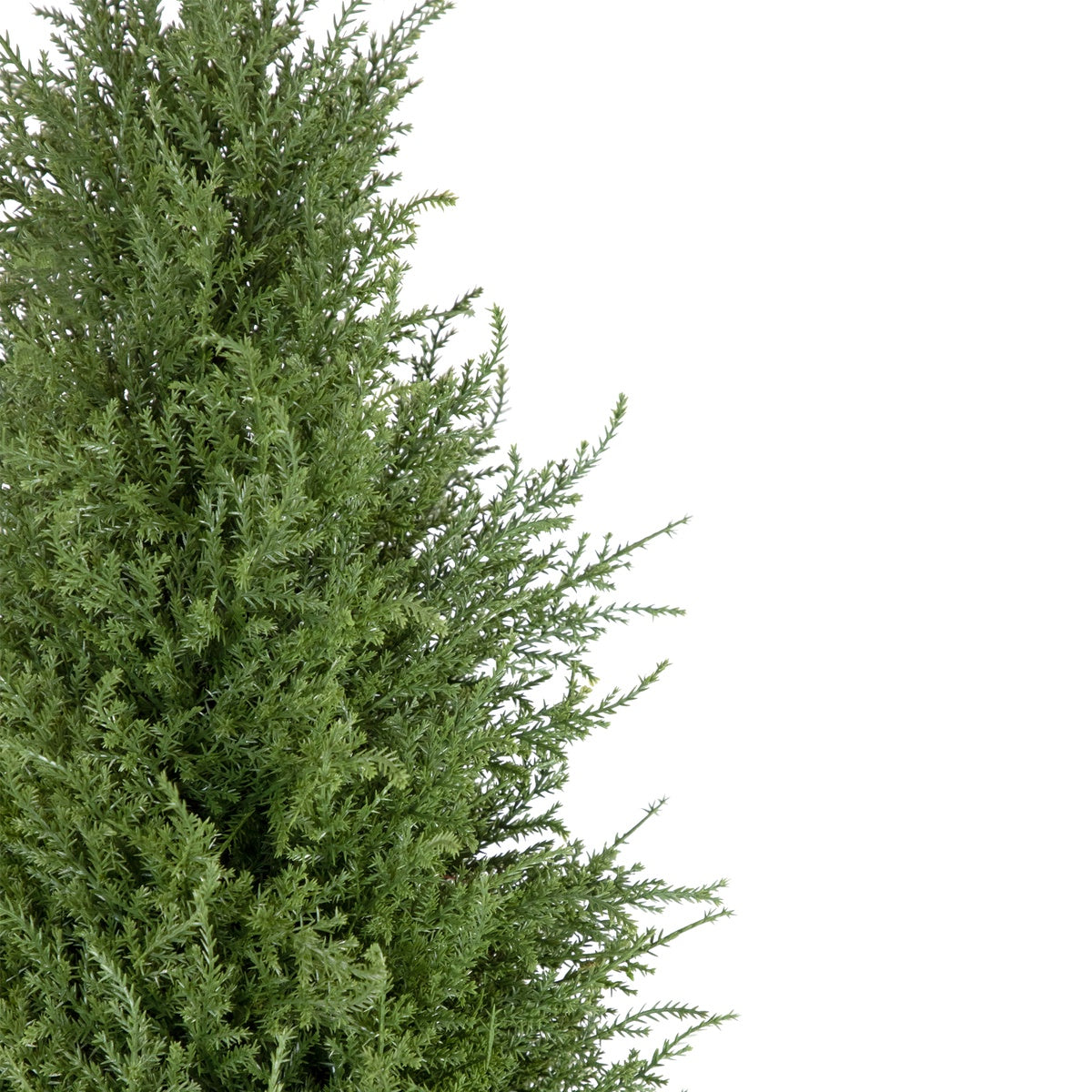  Northlight Real Touch™ Artificial Cedar Pine Arborvitae Tree in Urn Style Pot  Unlit - 5' - 5' - Bonton