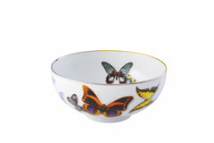 Butterfly Parade Soup Bowls Set of 4