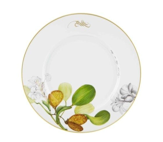  Vista Alegre Amazonia Dinner Plates Set of 4 - Multi - Bonton