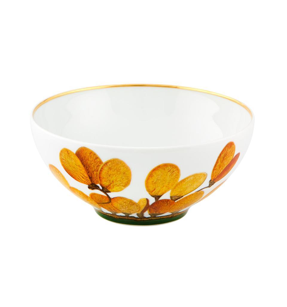  Vista Alegre Amazonia Cereal Bowls Set of 4 - Multi - Bonton