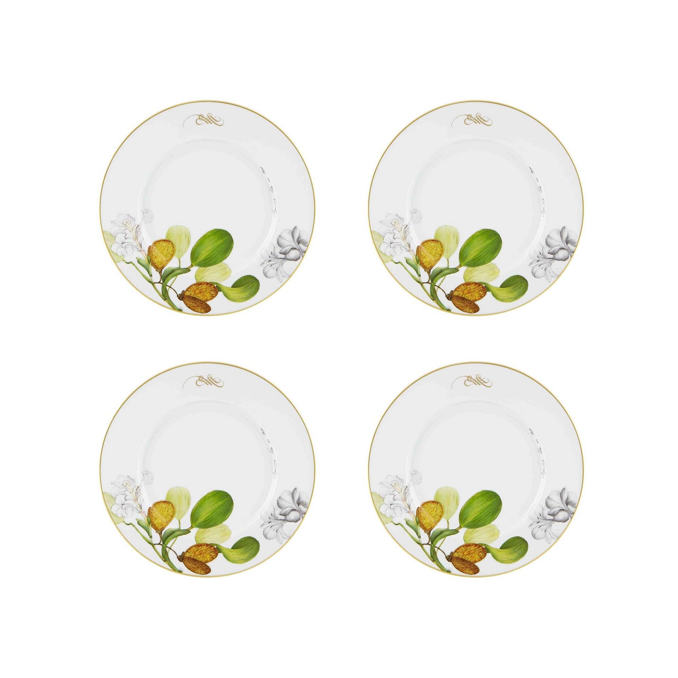  Vista Alegre Amazonia Dinner Plates Set of 4 - Multi - Bonton