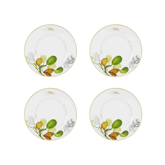 Amazonia Dinner Plates Set of 4