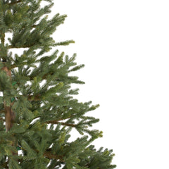 Real Touch™? Full Northern Pine Artificial Christmas Tree - 6.5' - Unlit