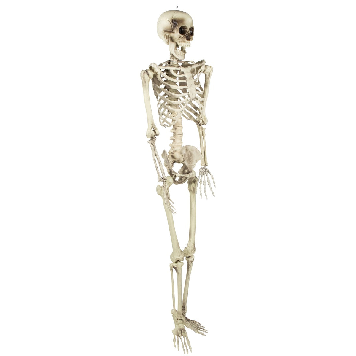  Northlight Life Size Skeleton Hanging Halloween Decoration - 5' - Default Title - Bonton
