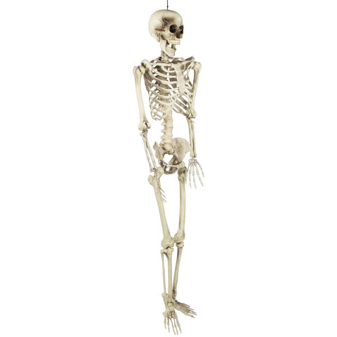 Life Size Skeleton Hanging Halloween Decoration - 5'