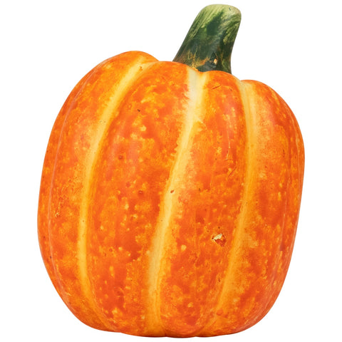 6pc Fall Harvest Ceramic Pumpkins Decoration Set