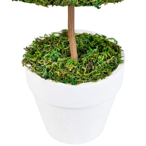 21" Green and White Reindeer Moss Potted Artificial Spring Floral Topiary Tree