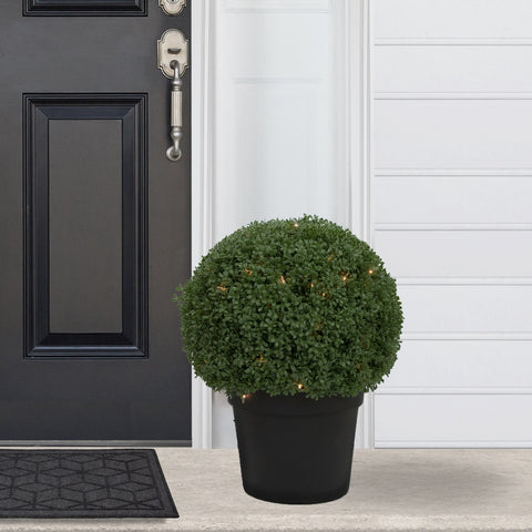 20" Pre-Lit Artificial Boxwood Ball Topiary in Round Pot  Clear Lights