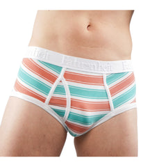 Cotton Brief and Stripe (Pack of 2)