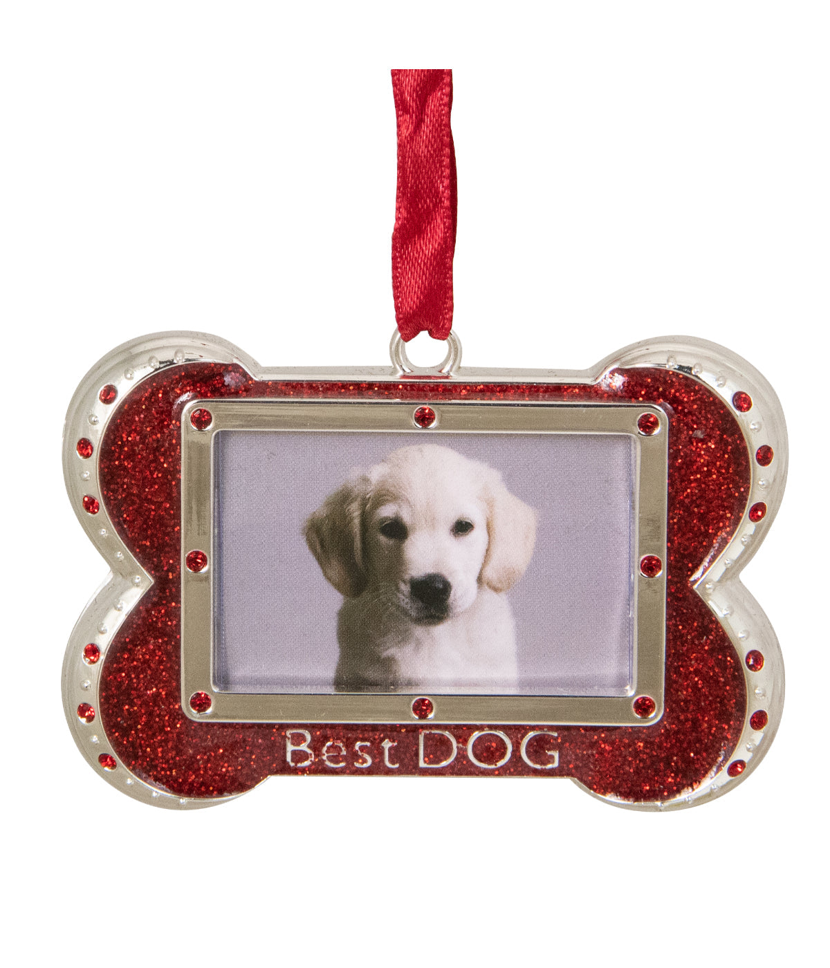  NorthLight Red & Silver-Plated Best Dog Bone Christmas Ornament with European Crystals, 3