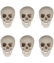 Skeleton Skull Heads Halloween Decorations Set of 6