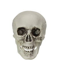 Skull Head Halloween Decorations Set of 6