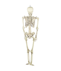 Skeleton Hanging Halloween Decoration