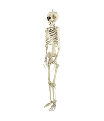 Skeleton Hanging Halloween Decoration