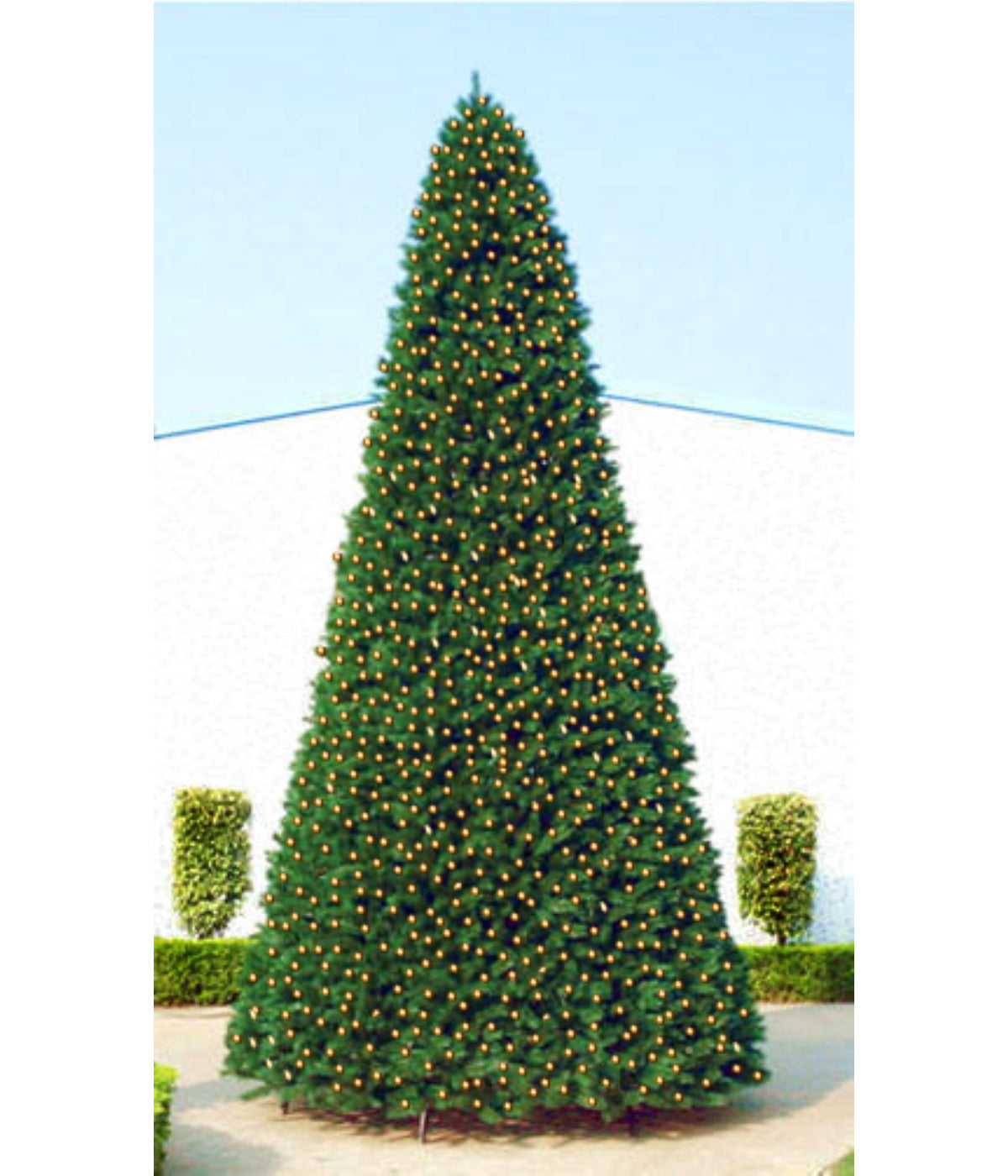  Pre-Lit Green Pencil Pine Artificial Christmas Tree - Clear Lights, 15' - Green - Bonton