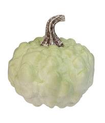 Green Textured Pumpkin Fall Harvest Table Top Decoration Green