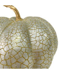 Crackled Fall Harvest Pumpkin Decoration Ivory