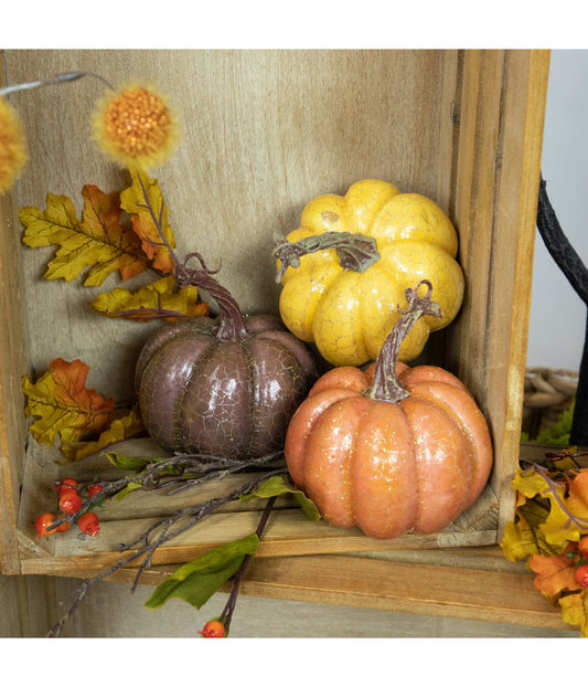 Crackle Finish Fall Harvest Pumpkins Orange