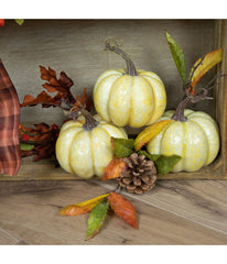 Antiqued White Crackle Finish Fall Harvest Pumpkins Yellow