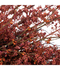 Autumn Harvest Burgundy Berry Artificial Wreath Red