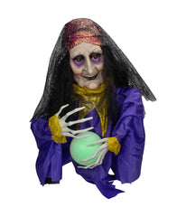 Fortune Teller Animated Halloween Decoration