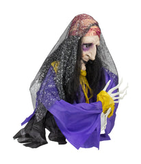 Fortune Teller Animated Halloween Decoration