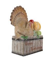 Turkey and Pumpkins 'Happy Thanksgiving' Decoration Orange