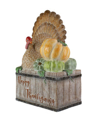 Turkey and Pumpkins 'Happy Thanksgiving' Decoration Orange