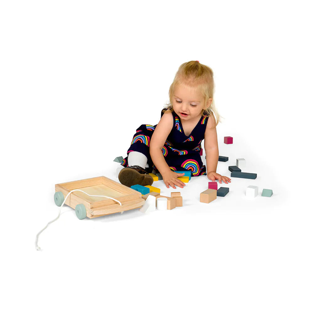  Bigjigs Toys FSC® Certified Brick Cart by Bigjigs Toys US - Default Title - Bonton