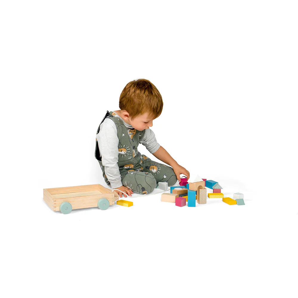  Bigjigs Toys FSC® Certified Brick Cart by Bigjigs Toys US - Default Title - Bonton