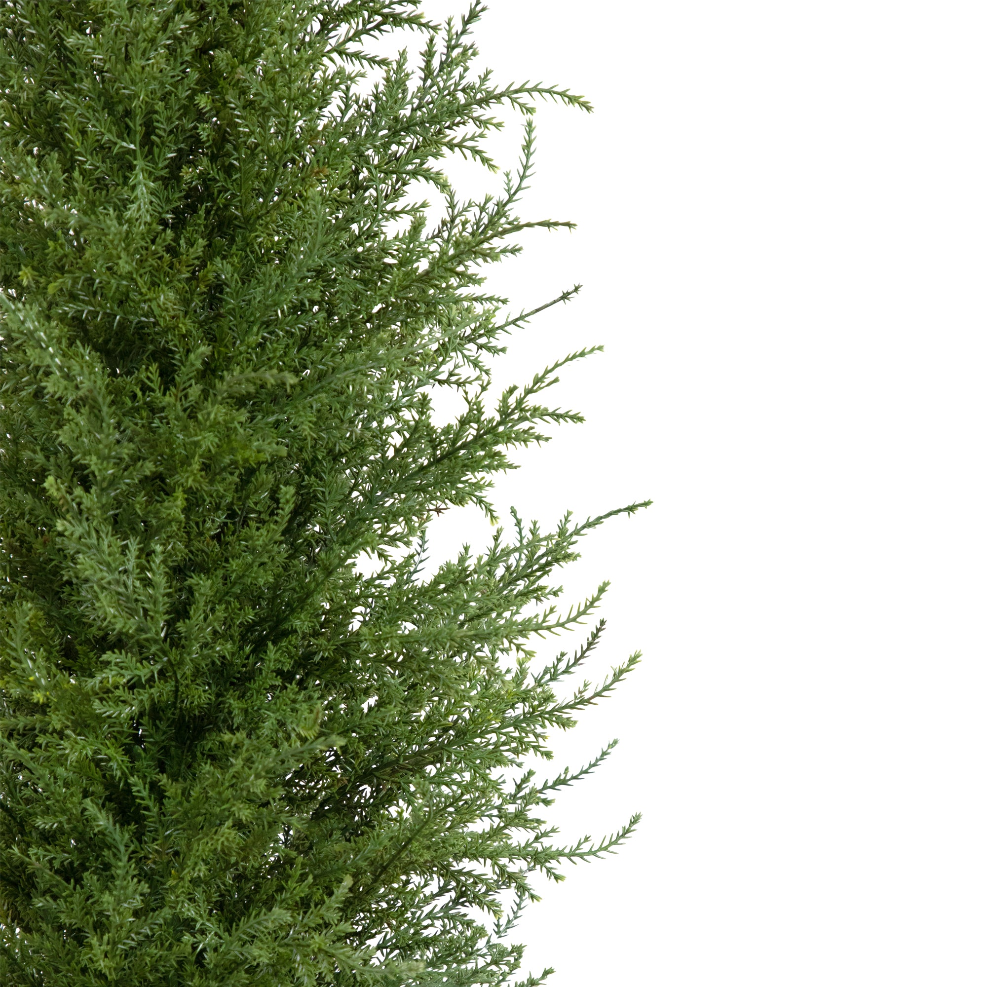  3' Artificial Cedar Pine Petite Arborvitae Tree in Round Pot Unlit - Green - Bonton